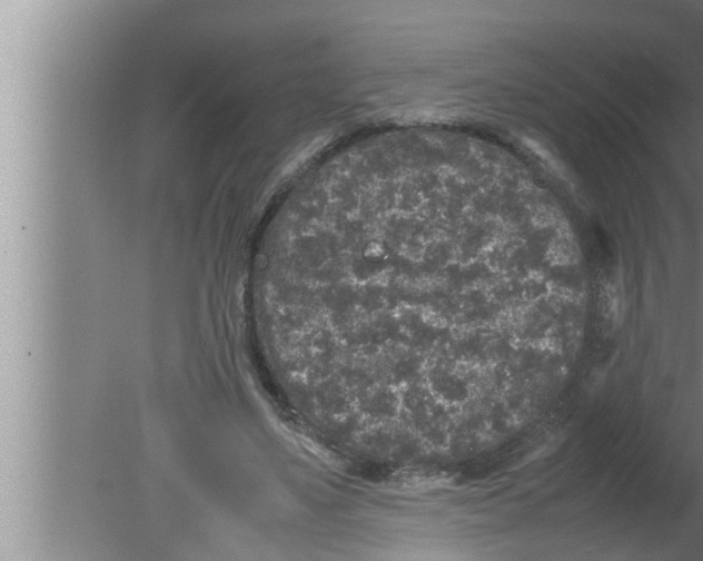 X0000080160491200612302157