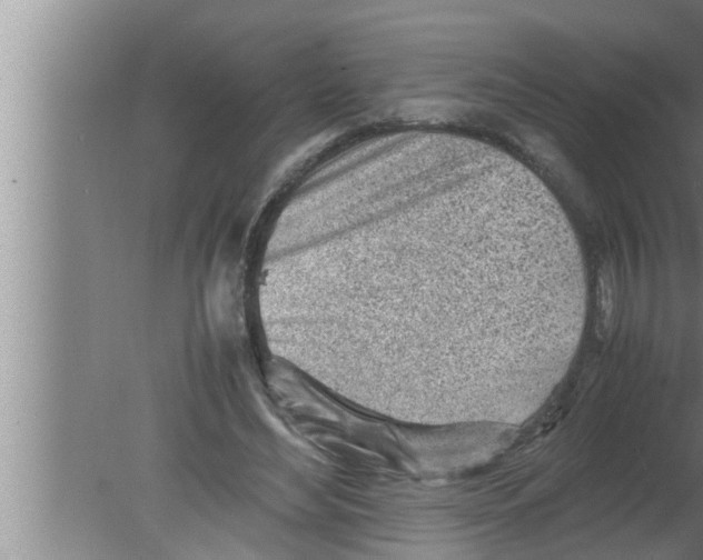 X0000080160492200612302157