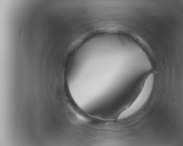 X0000080160493200612302157