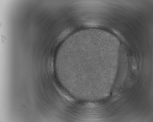 X0000080160494200612302157