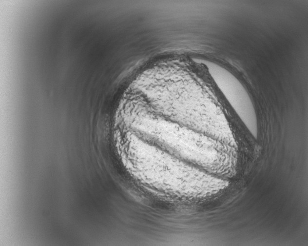 X0000080160495200612302157