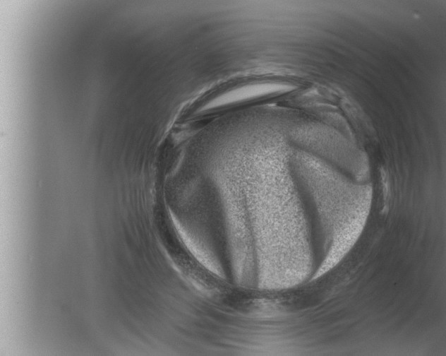 X0000080160496200612302157