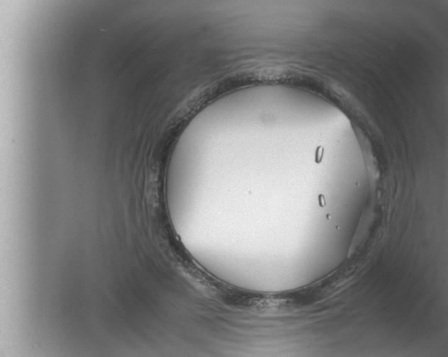 X0000080160497200612302157