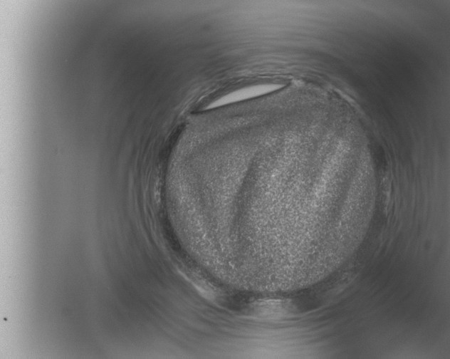 X0000080160499200612302157