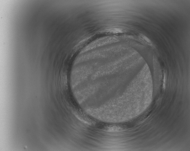 X0000080160500200612302157