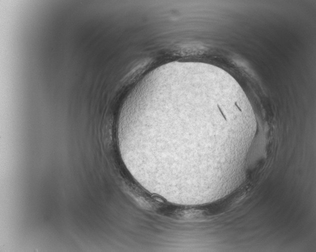 X0000080160501200612302157