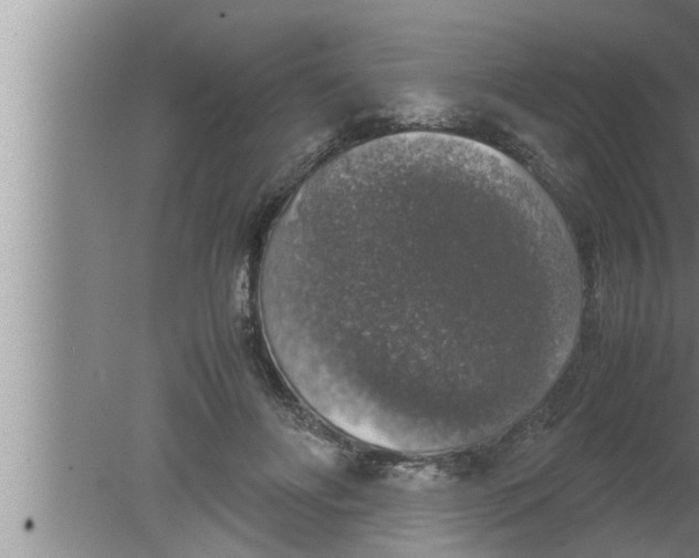 X0000080160502200612302157