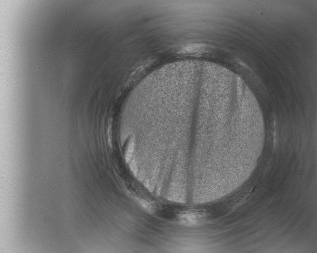 X0000080160504200612302157