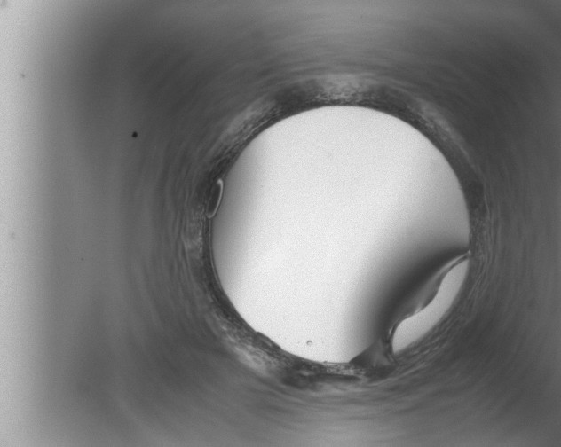 X0000080160505200612302157