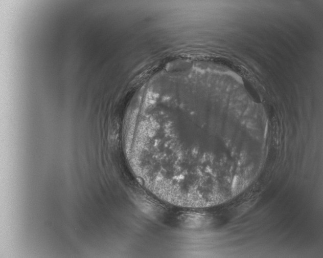 X0000080160507200612302157