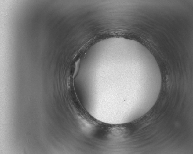 X0000080160508200612302157