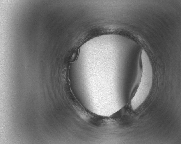 X0000080160509200612302157