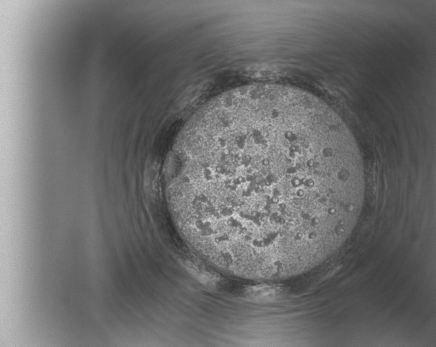 X0000080160511200612302157