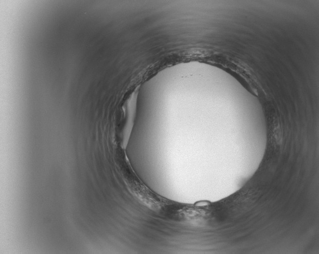 X0000080160512200612302157