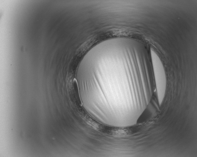 X0000080160513200612302157