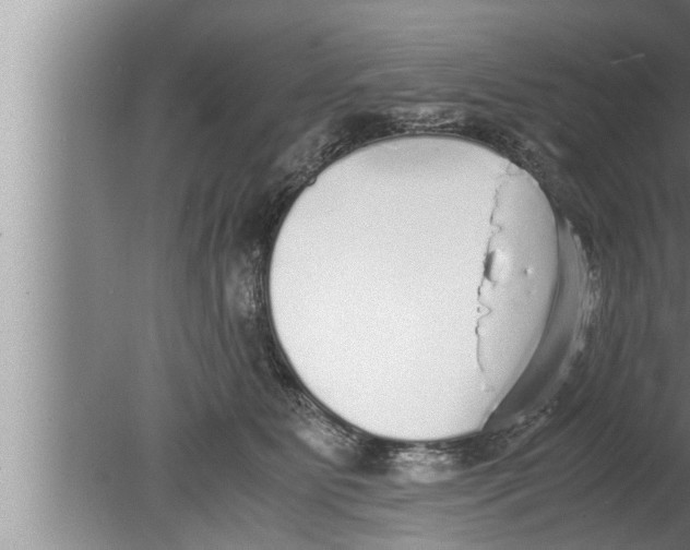 X0000080160515200612302157