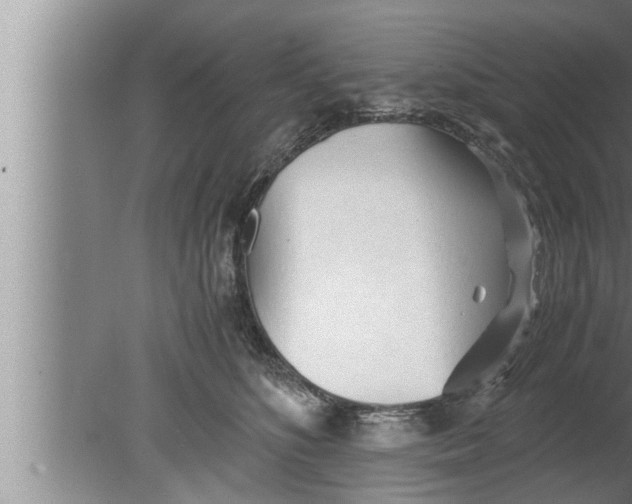 X0000080160516200612302157