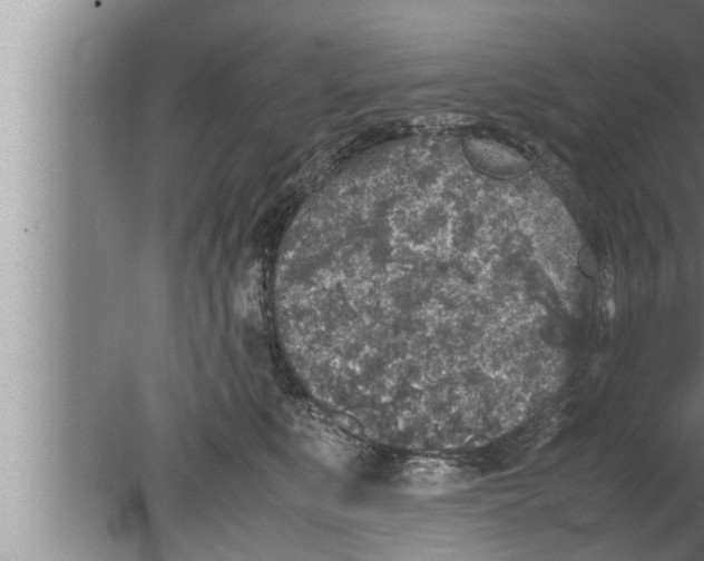 X0000080160519200612302157