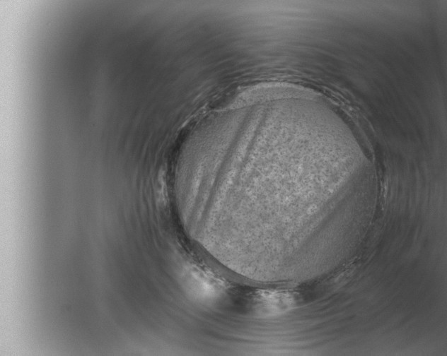 X0000080160520200612302157