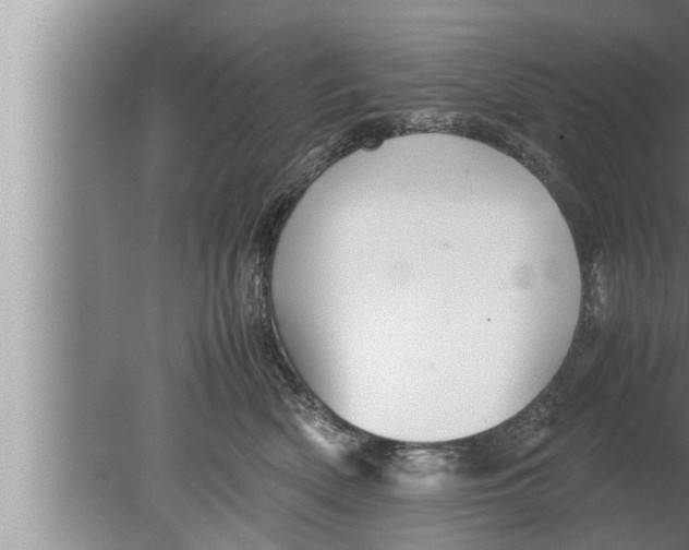 X0000080160522200612302157