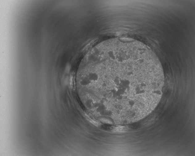 X0000080160527200612302156