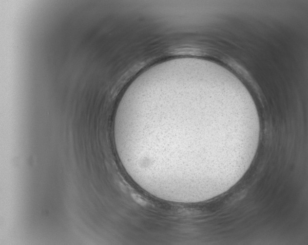 X0000080160529200612302156