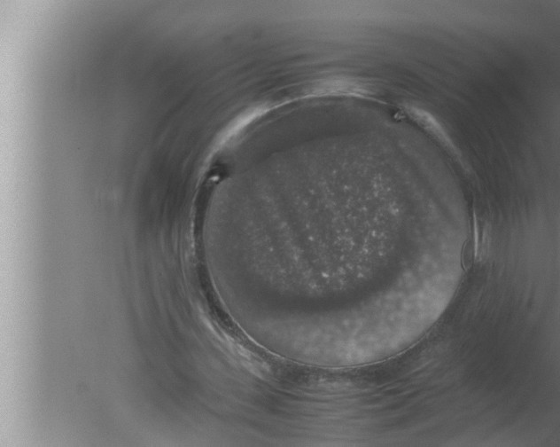 X0000080160531200612302156