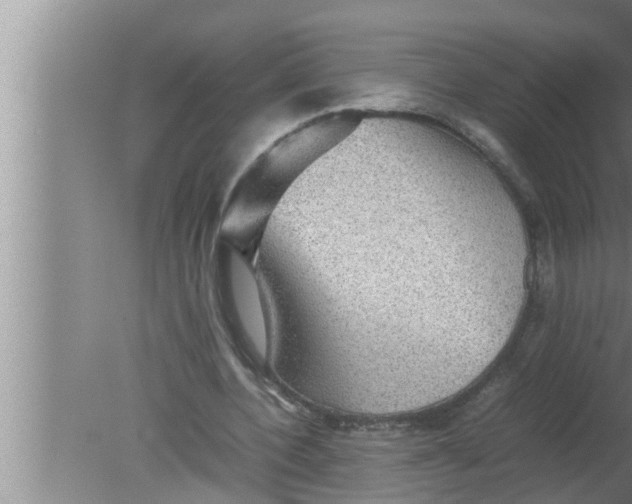 X0000080160532200612302156