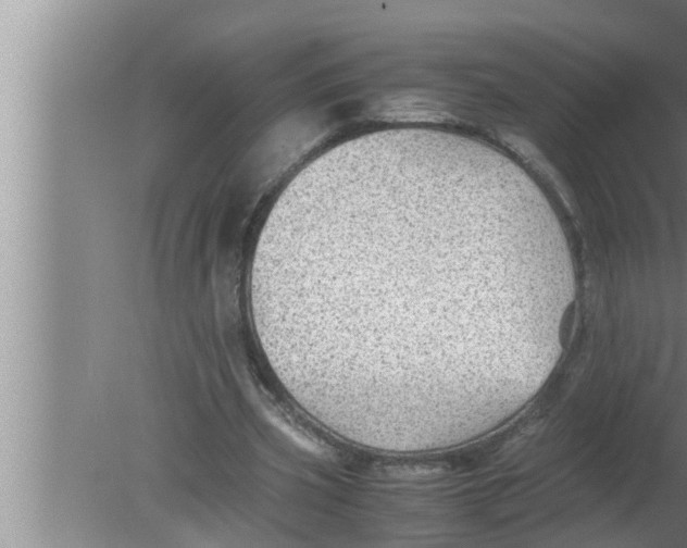 X0000080160533200612302156