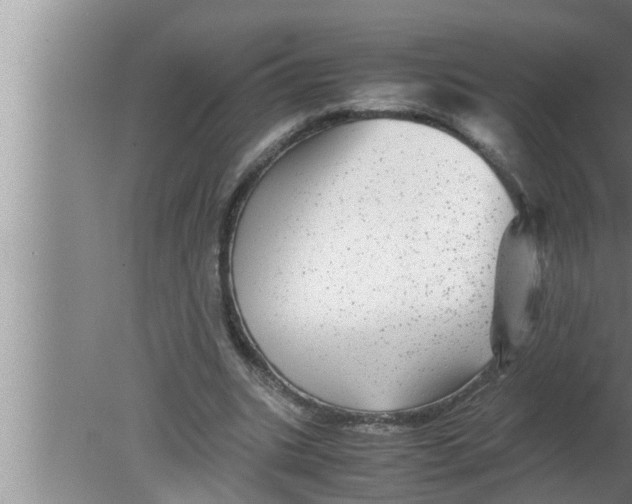 X0000080160535200612302156