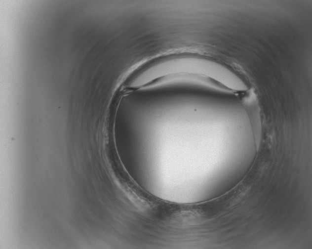 X0000080160536200612302156