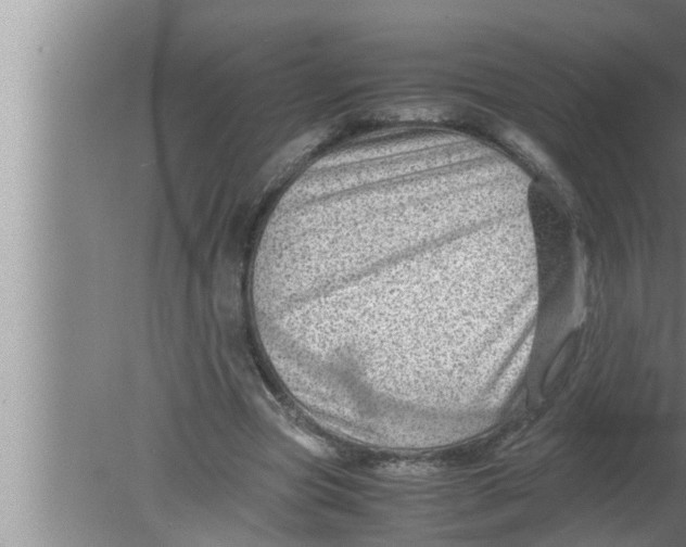 X0000080160537200612302156