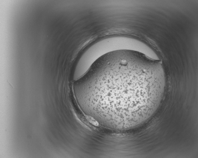 X0000080160538200612302156