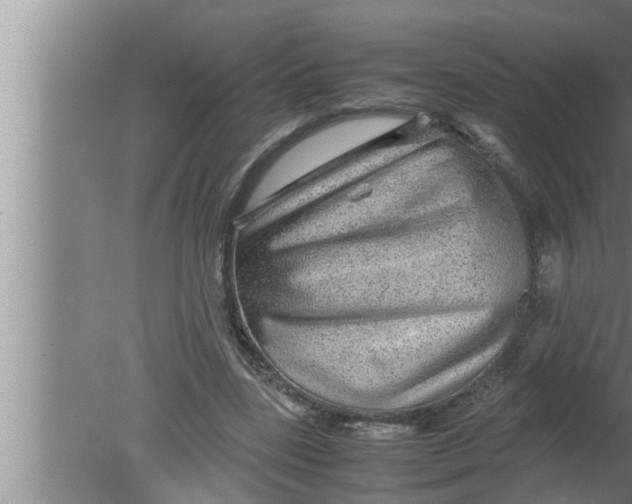 X0000080160539200612302156