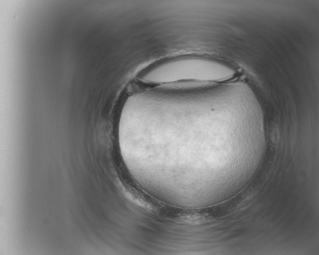 X0000080160540200612302156