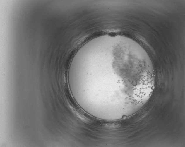 X0000080160541200612302156