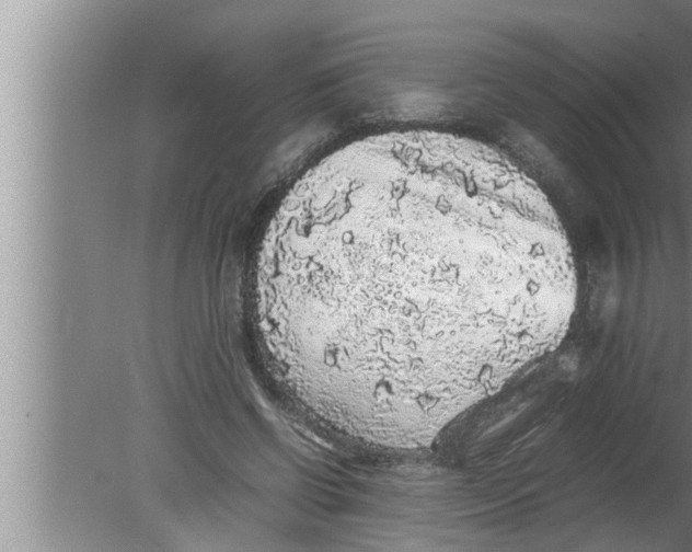 X0000080160542200612302156