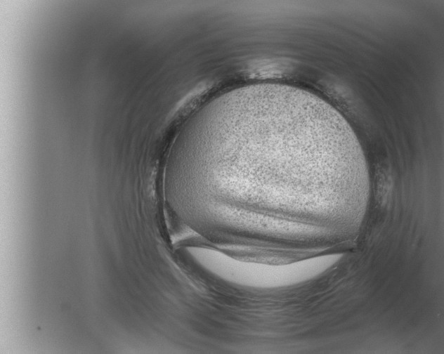 X0000080160543200612302156