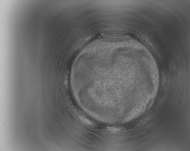 X0000080160545200612302156