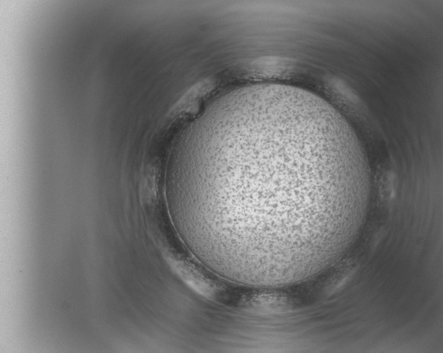 X0000080160546200612302156