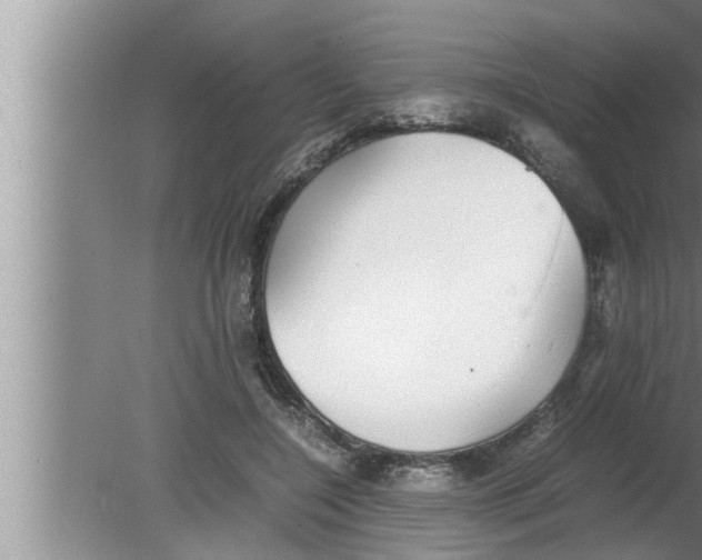 X0000080160548200612302156