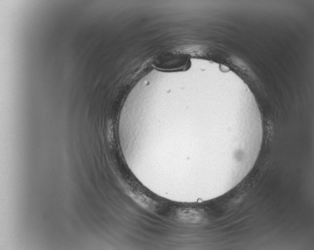 X0000080160549200612302156