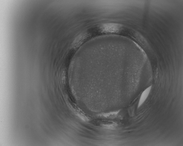 X0000080160551200612302156