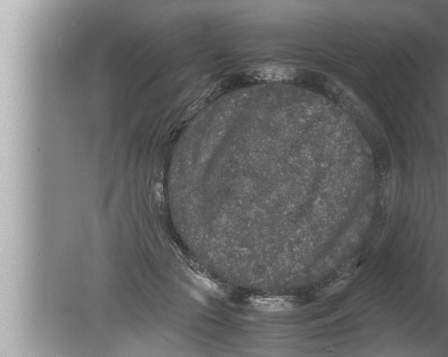 X0000080160553200612302156