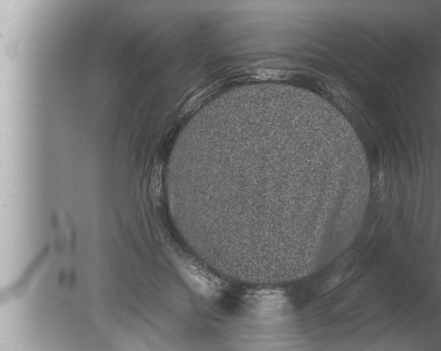 X0000080160554200612302156