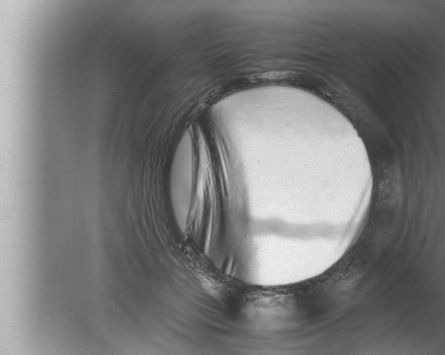 X0000080160555200612302156