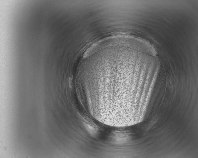 X0000080160556200612302156