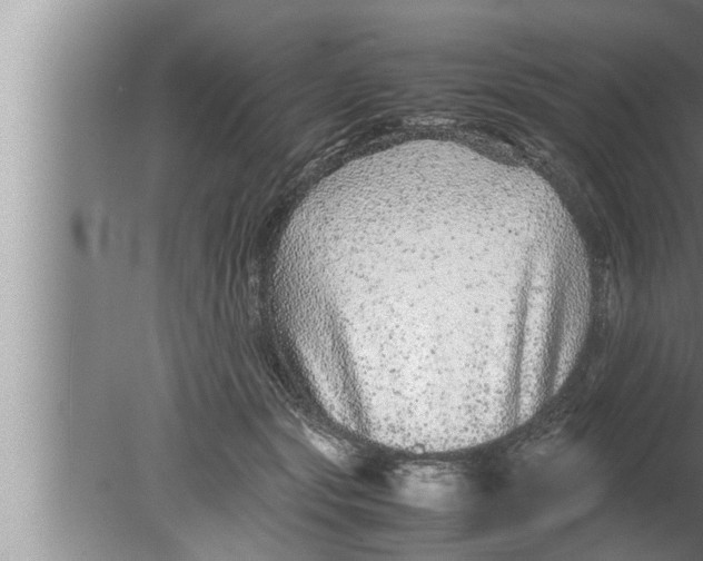 X0000080160557200612302156