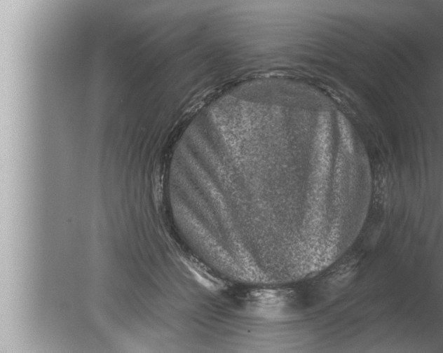 X0000080160558200612302156