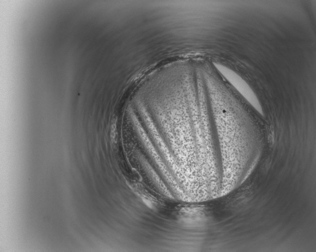 X0000080160560200612302156